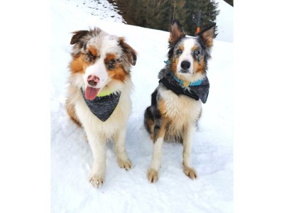 Apartment Familienzimmer, Dusche, WC, Bergseite - Outdoor photo 23