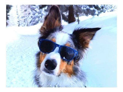 Apartment Familienzimmer, Dusche, WC, Bergseite - Outdoor photo 24