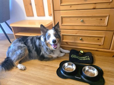 Apartment Familienzimmer, Dusche, WC, Bergseite - Outdoor photo 26