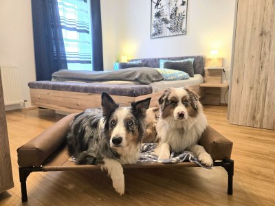 Apartment Familienzimmer, Dusche, WC, Bergseite - Outdoor photo 27