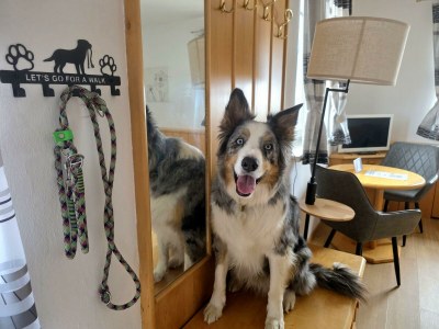 Apartment Familienzimmer, Dusche, WC, Bergseite - Outdoor photo 29