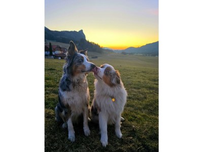 Apartment Familienzimmer, Dusche, WC, Bergseite - Outdoor photo 30