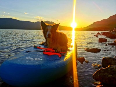 Apartment Familienzimmer, Dusche, WC, Bergseite - Outdoor photo 36