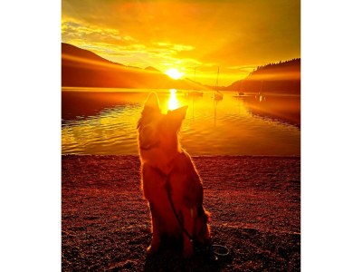 Apartment Familienzimmer, Dusche, WC, Bergseite - Outdoor photo 37