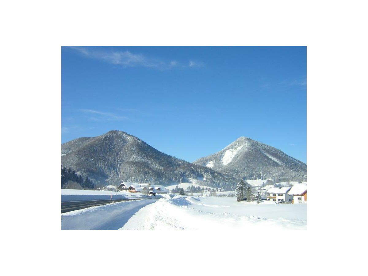 Apartment Ferienwohnung