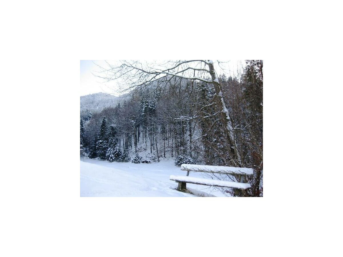 Apartment Ferienhaus Hofbauer - Outdoor photo 3