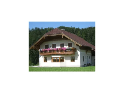 Apartment Ferienhaus Hofbauer in Ebenau - Apartment