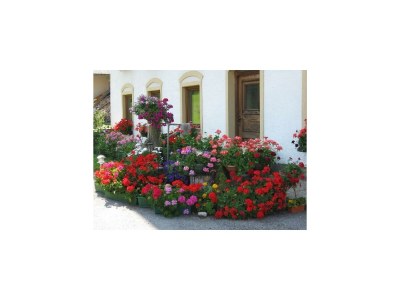 Apartment Ferienhaus Hofbauer - Outdoor photo 8