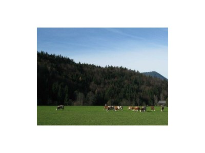 Apartment Ferienhaus Hofbauer - Outdoor photo 9