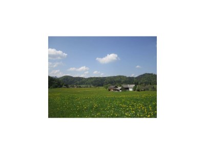 Apartment Ferienhaus Hofbauer - Outdoor photo 13