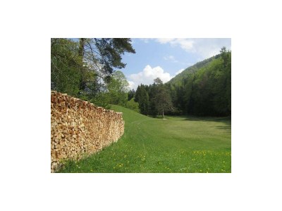 Apartment Ferienhaus Hofbauer - Outdoor photo 15