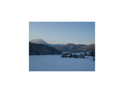 Apartment Ferienhaus Hofbauer - Outdoor photo 20