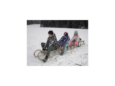 Apartment Ferienhaus Hofbauer - Outdoor photo 22