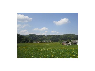 Apartment Ferienhaus Hofbauer - Outdoor photo 30