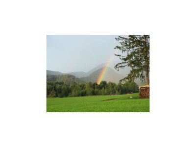 Apartment Ferienhaus Hofbauer - Outdoor photo 31