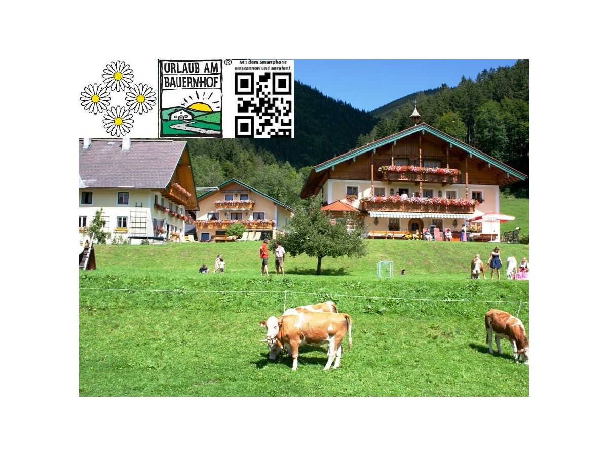 Apartment APARTMENT I  2 Zimmer/Dusche/WC/Sauna