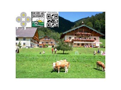 Apartment APARTMENT I  2 Zimmer/Dusche/WC/Sauna in Faistenau - Apartment