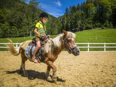 Apartment APARTMENT I  2 Zimmer/Dusche/WC/Sauna - Outdoor photo 8