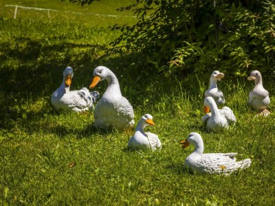 Apartment APARTMENT I  2 Zimmer/Dusche/WC/Sauna - Outdoor photo 10
