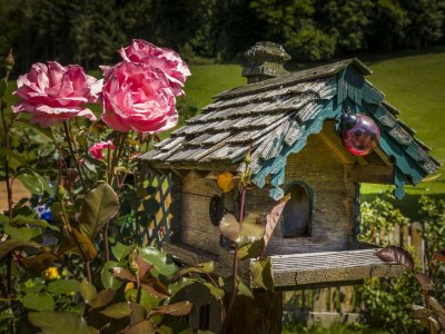 Apartment APARTMENT I  2 Zimmer/Dusche/WC/Sauna - Outdoor photo 11