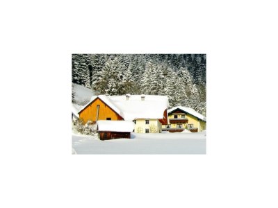 Apartment APARTMENT I  2 Zimmer/Dusche/WC/Sauna - Outdoor photo 12