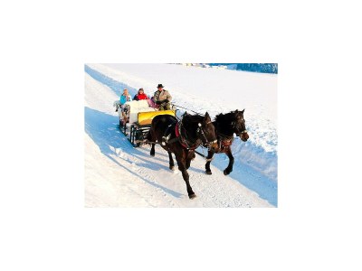 Apartment APARTMENT I  2 Zimmer/Dusche/WC/Sauna - Outdoor photo 13