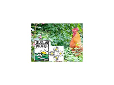 Apartment APARTMENT I  2 Zimmer/Dusche/WC/Sauna - Outdoor photo 28