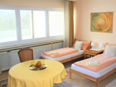 Apartment Ferienwohnung Bernstein - Features photo 15