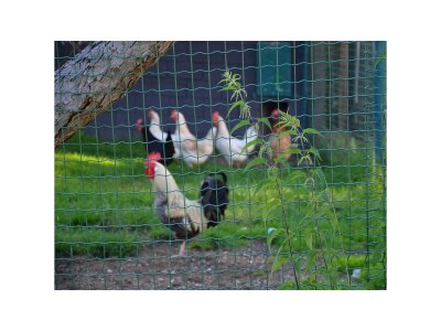 Apartment Ferienwohnung Ebner Margit - Outdoor photo 26