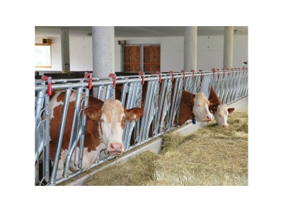 Apartment Ferienwohnung Ebner Margit - Outdoor photo 28