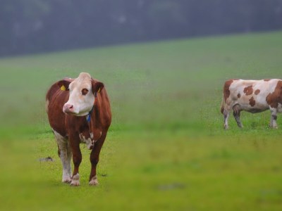 Apartment Ferienwohnung Ebner Margit - Outdoor photo 29