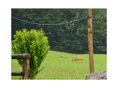 Apartment Ferienwohnung Ebner Margit - Outdoor photo 42
