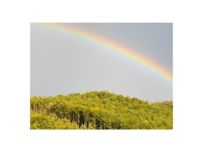 Apartment Ferienwohnung Ebner Margit - Outdoor photo 43