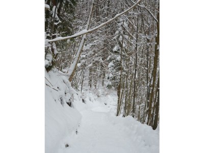 Apartment Ferienwohnung Ebner Margit - Outdoor photo 45