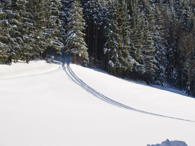 Apartment Ferienwohnung Ebner Margit - Outdoor photo 48
