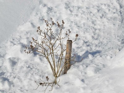 Apartment Ferienwohnung Ebner Margit - Outdoor photo 49