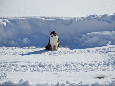 Apartment Ferienwohnung Ebner Margit - Outdoor photo 50