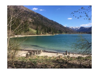 Apartment Ferienwohnung Ebner Margit - Outdoor photo 52