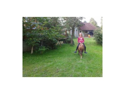 Apartment Ferienhaus Wimmer - Outdoor photo 16