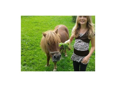 Apartment Ferienhaus Wimmer - Outdoor photo 18