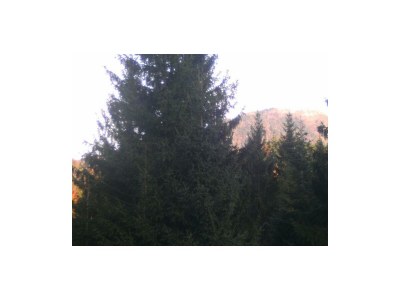 Apartment Ferienhaus Wimmer - Outdoor photo 23