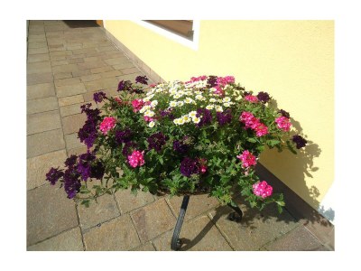 Apartment Ferienwohnung 2-3 Personen - Outdoor photo 4