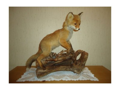 Apartment Ferienwohnung 2-3 Personen - Outdoor photo 11