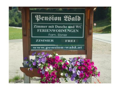 Apartment Ferienwohnung 2-3 Personen - Outdoor photo 17