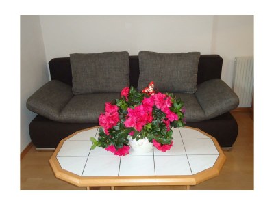 Apartment Ferienwohnung 2-3 Personen - Features photo 19