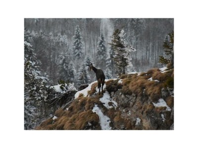 Apartment Appartement/Fewo, Dusche oder Bad, WC, Balkon - Outdoor photo 31