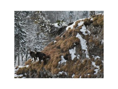 Apartment Appartement/Fewo, Dusche oder Bad, WC, Balkon - Outdoor photo 52