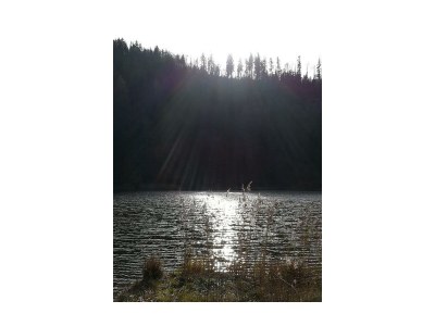 Apartment Appartement/Fewo, Dusche oder Bad, WC, Balkon - Outdoor photo 56