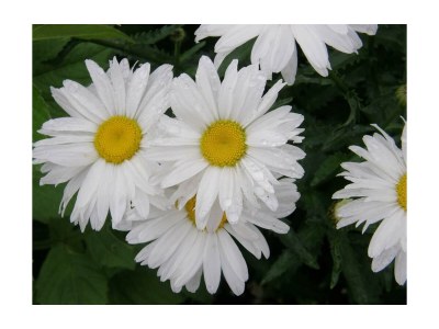 Apartment Ferienwohnung Filbling - Outdoor photo 10