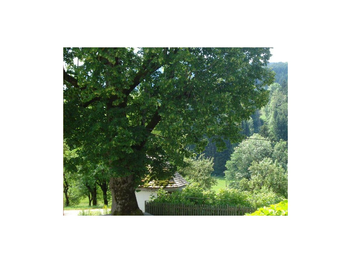 Apartment Haus Stöllinger - Outdoor photo 4